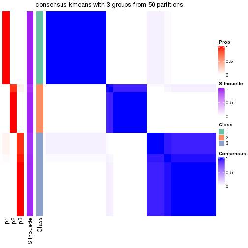 plot of chunk tab-node-021-consensus-heatmap-2