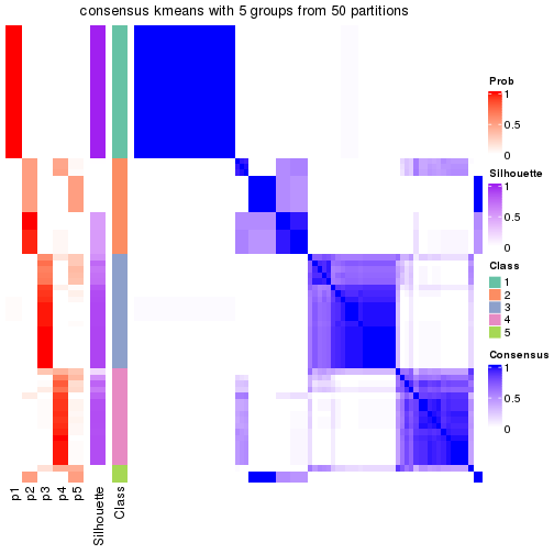 plot of chunk tab-node-021-consensus-heatmap-4