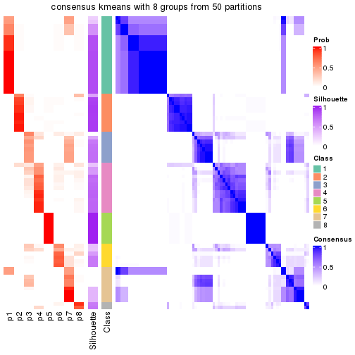 plot of chunk tab-node-021-consensus-heatmap-7