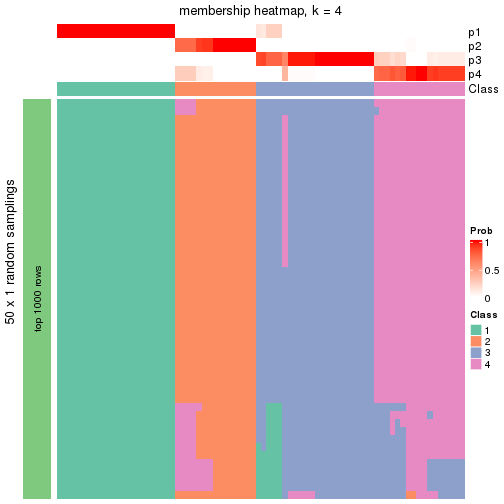 plot of chunk tab-node-021-membership-heatmap-3