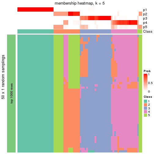 plot of chunk tab-node-021-membership-heatmap-4