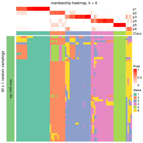 plot of chunk tab-node-021-membership-heatmap-5