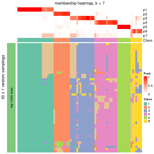 plot of chunk tab-node-021-membership-heatmap-6