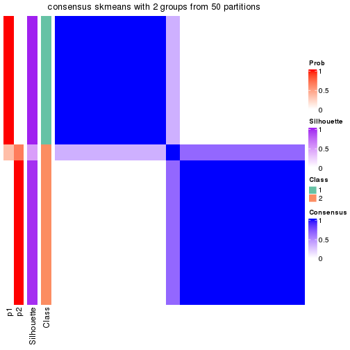 plot of chunk tab-node-0212-consensus-heatmap-1