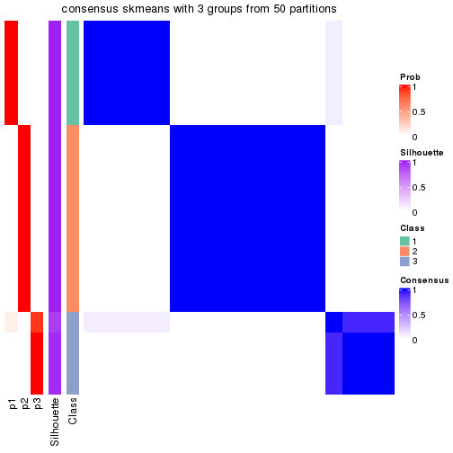 plot of chunk tab-node-0212-consensus-heatmap-2