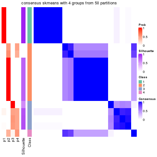 plot of chunk tab-node-0212-consensus-heatmap-3