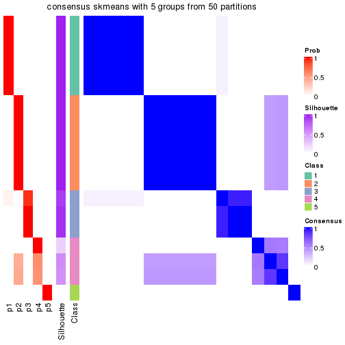 plot of chunk tab-node-0212-consensus-heatmap-4