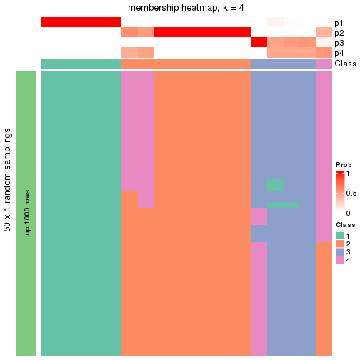 plot of chunk tab-node-0212-membership-heatmap-3