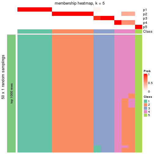 plot of chunk tab-node-0212-membership-heatmap-4