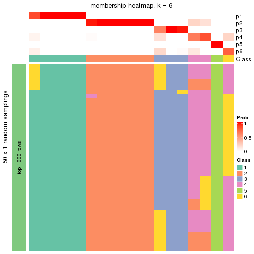 plot of chunk tab-node-0212-membership-heatmap-5