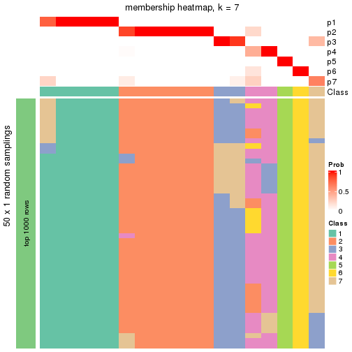 plot of chunk tab-node-0212-membership-heatmap-6