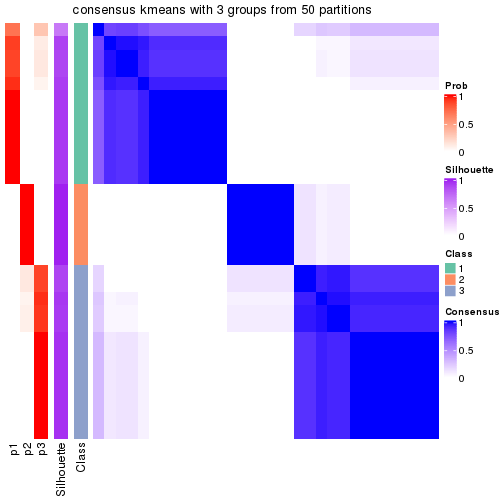 plot of chunk tab-node-0213-consensus-heatmap-2