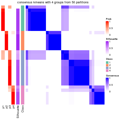 plot of chunk tab-node-0213-consensus-heatmap-3