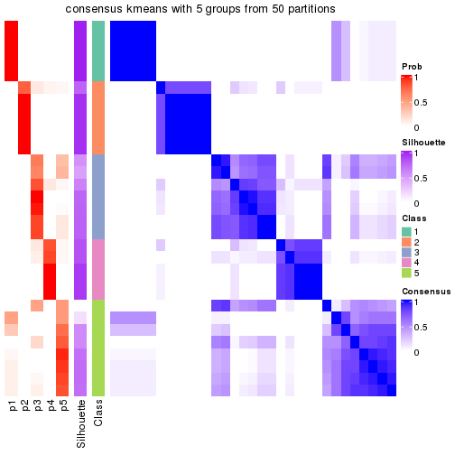 plot of chunk tab-node-0213-consensus-heatmap-4