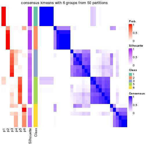 plot of chunk tab-node-0213-consensus-heatmap-5