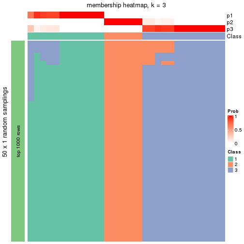 plot of chunk tab-node-0213-membership-heatmap-2