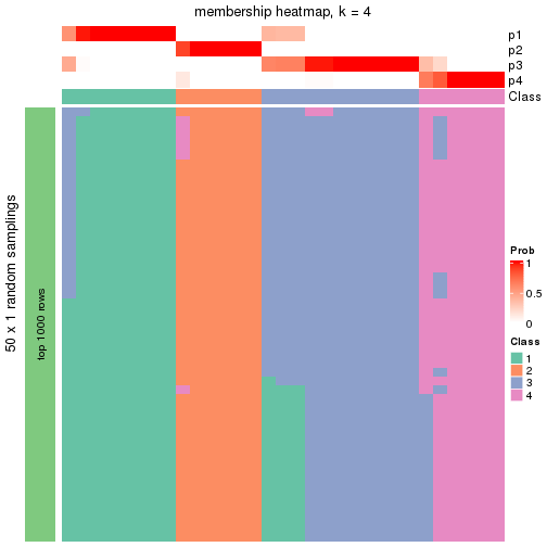 plot of chunk tab-node-0213-membership-heatmap-3