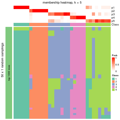 plot of chunk tab-node-0213-membership-heatmap-4