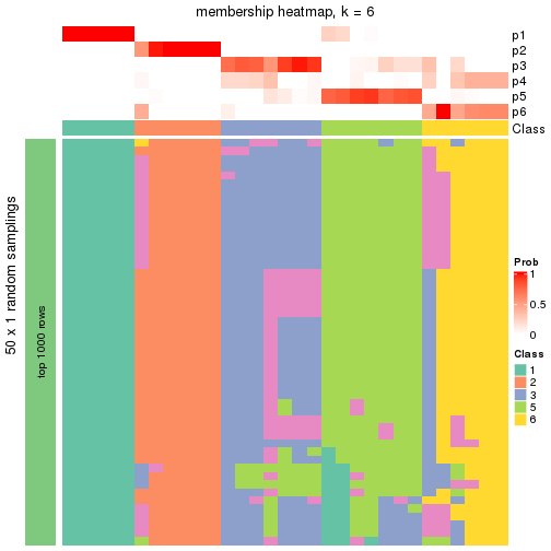 plot of chunk tab-node-0213-membership-heatmap-5