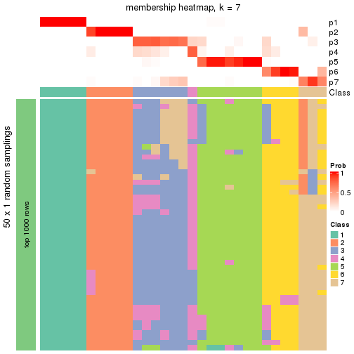 plot of chunk tab-node-0213-membership-heatmap-6