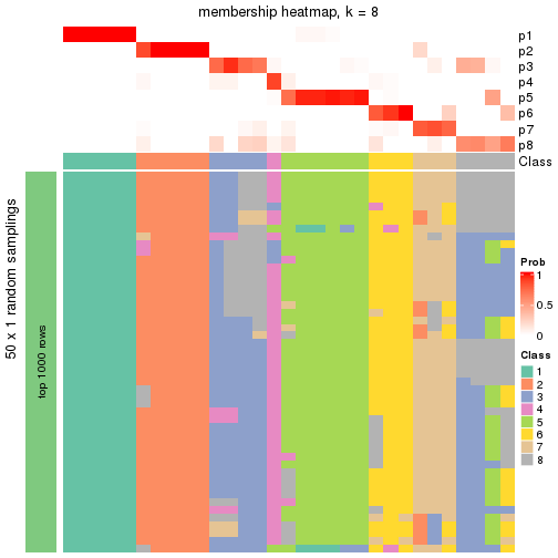 plot of chunk tab-node-0213-membership-heatmap-7