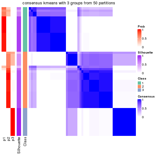 plot of chunk tab-node-022-consensus-heatmap-2