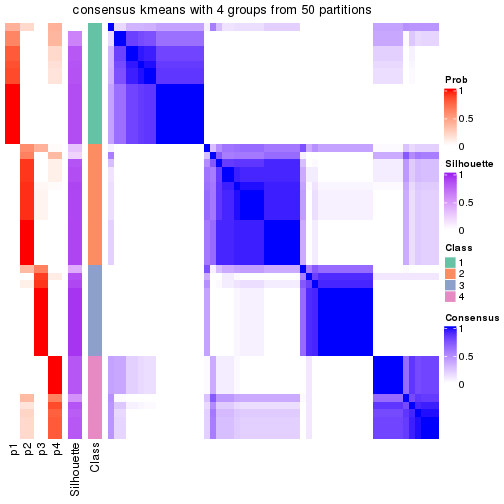 plot of chunk tab-node-022-consensus-heatmap-3