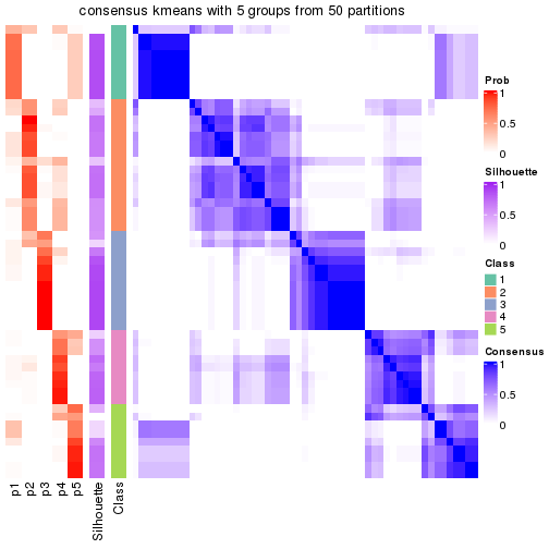 plot of chunk tab-node-022-consensus-heatmap-4