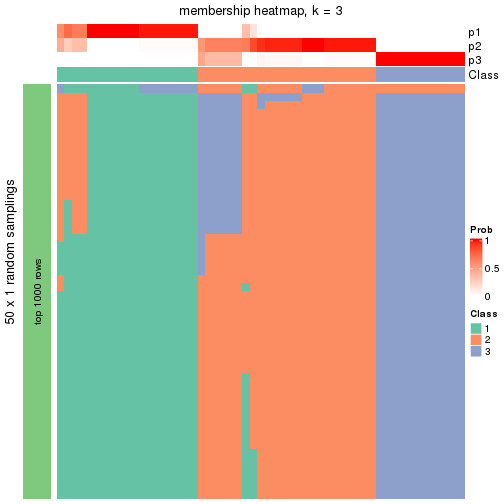 plot of chunk tab-node-022-membership-heatmap-2