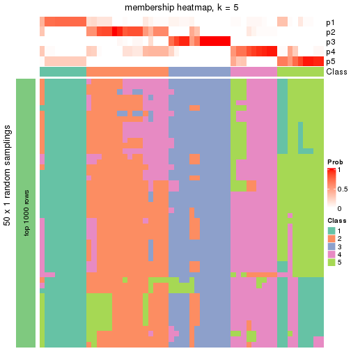 plot of chunk tab-node-022-membership-heatmap-4