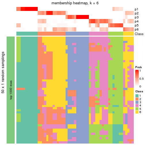 plot of chunk tab-node-022-membership-heatmap-5