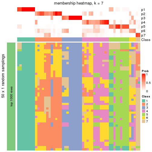 plot of chunk tab-node-022-membership-heatmap-6