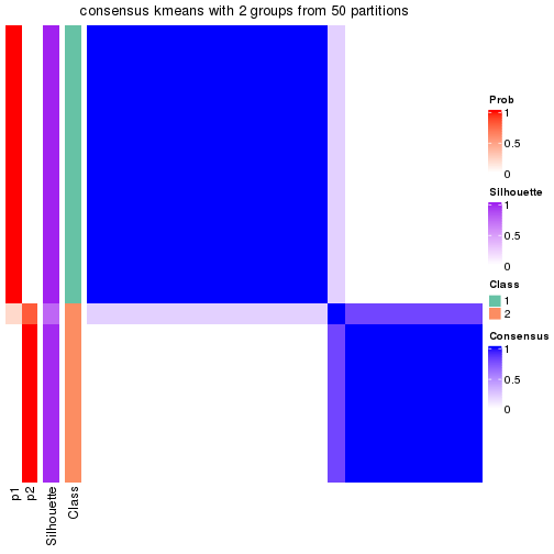 plot of chunk tab-node-0221-consensus-heatmap-1