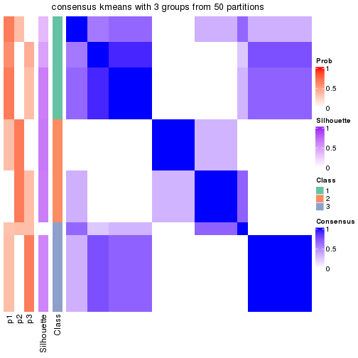 plot of chunk tab-node-0221-consensus-heatmap-2