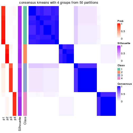 plot of chunk tab-node-0221-consensus-heatmap-3