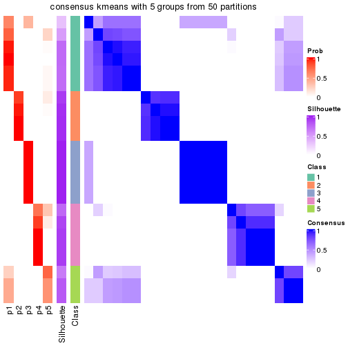 plot of chunk tab-node-0221-consensus-heatmap-4