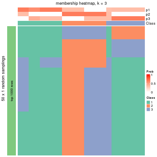 plot of chunk tab-node-0221-membership-heatmap-2