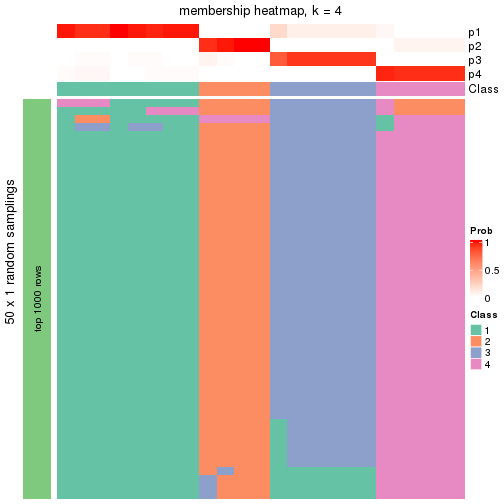 plot of chunk tab-node-0221-membership-heatmap-3