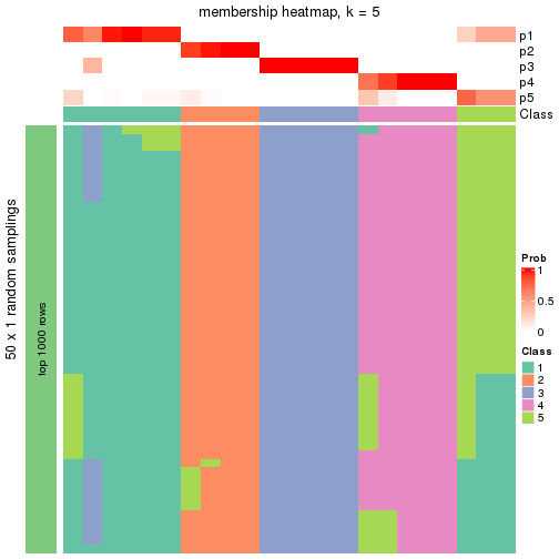 plot of chunk tab-node-0221-membership-heatmap-4