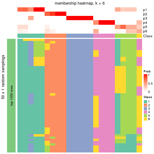 plot of chunk tab-node-0221-membership-heatmap-5