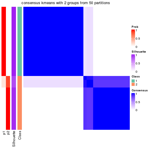 plot of chunk tab-node-0222-consensus-heatmap-1