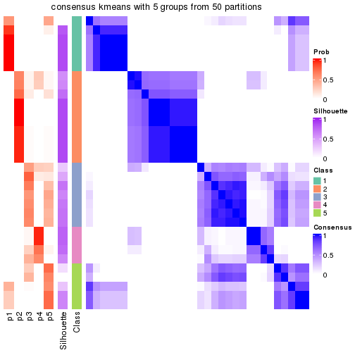 plot of chunk tab-node-0222-consensus-heatmap-4