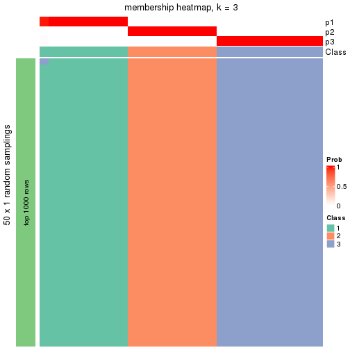 plot of chunk tab-node-0222-membership-heatmap-2