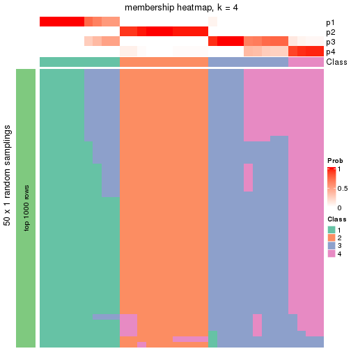 plot of chunk tab-node-0222-membership-heatmap-3