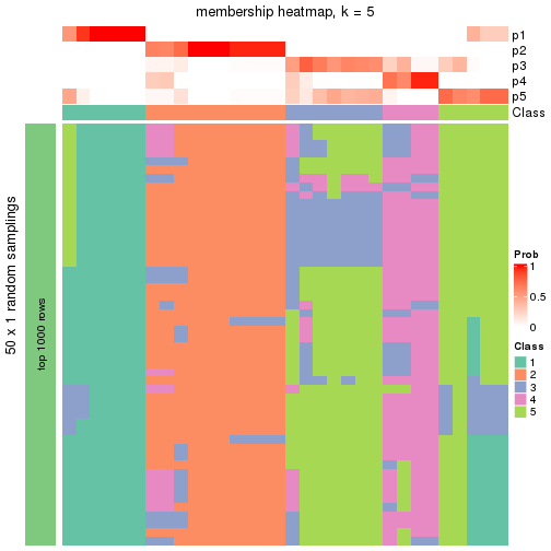 plot of chunk tab-node-0222-membership-heatmap-4