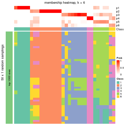 plot of chunk tab-node-0222-membership-heatmap-5