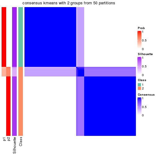 plot of chunk tab-node-023-consensus-heatmap-1