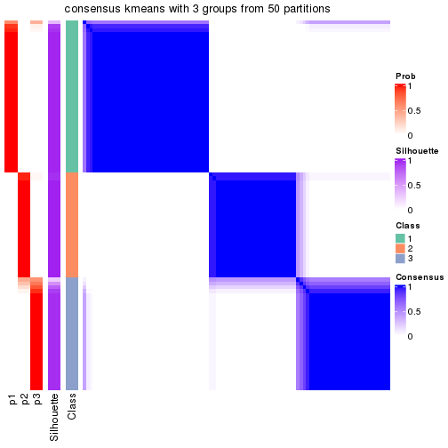 plot of chunk tab-node-023-consensus-heatmap-2