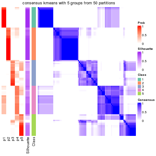 plot of chunk tab-node-023-consensus-heatmap-4