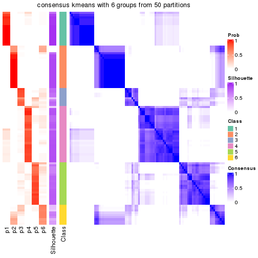 plot of chunk tab-node-023-consensus-heatmap-5